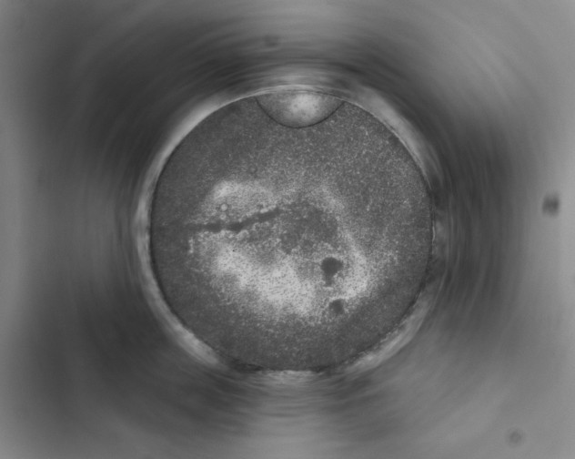 X0000102800859200809150927