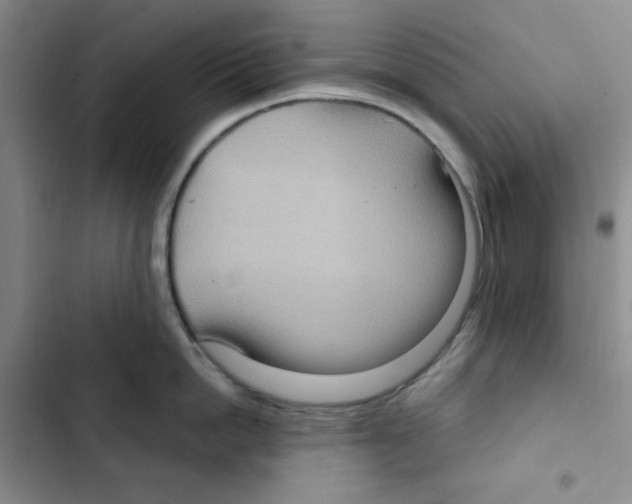 X0000102800862200809150927