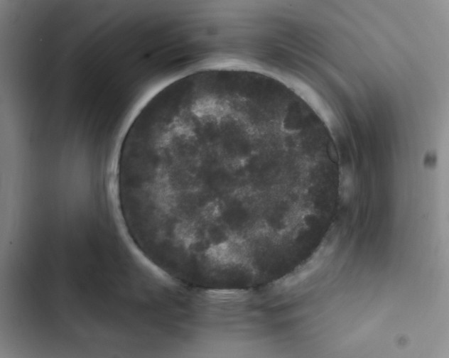 X0000102800863200809150927