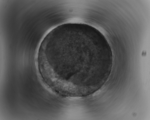 X0000102800864200809150927