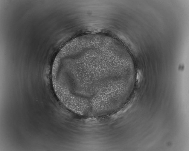 X0000102800867200809150927