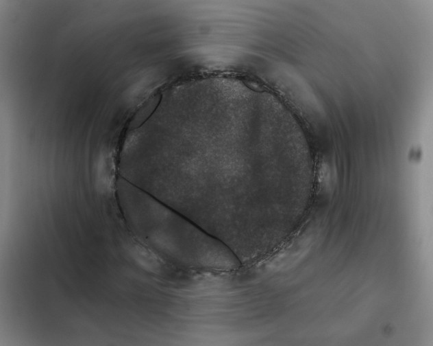 X0000102800868200809150927