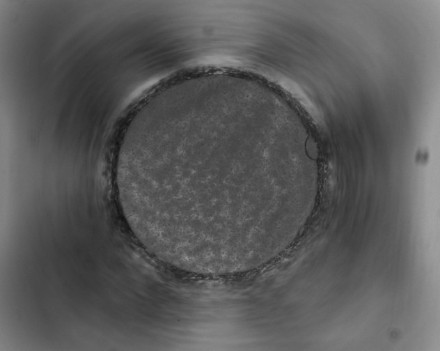 X0000102800872200809150926