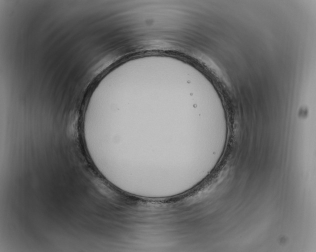 X0000102800873200809150926