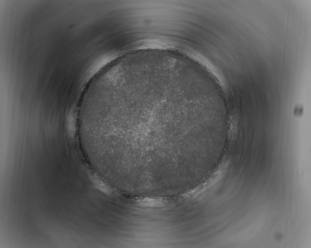 X0000102800874200809150926