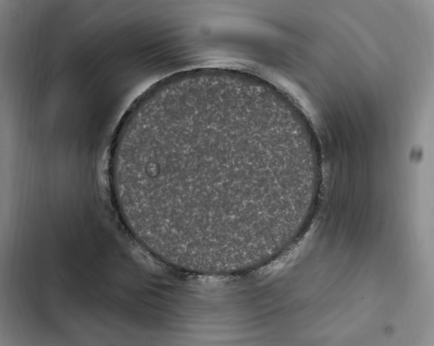 X0000102800875200809150926