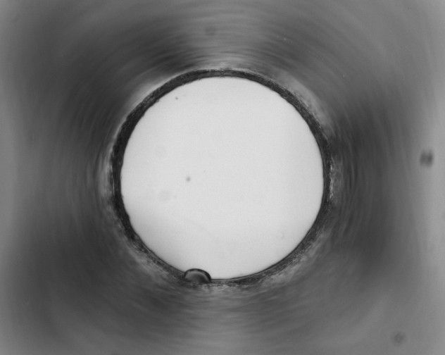 X0000102800876200809150926