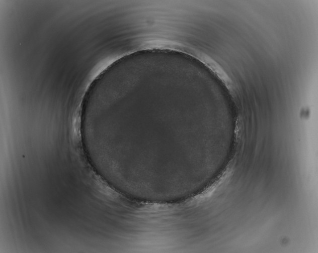 X0000102800877200809150926