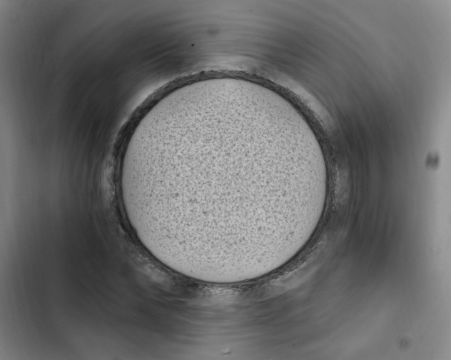 X0000102800878200809150926