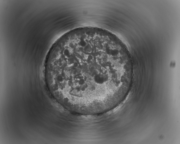 X0000102800879200809150926