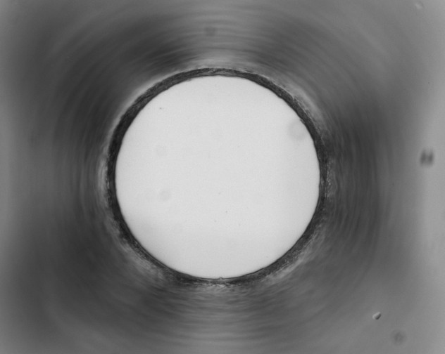 X0000102800880200809150926