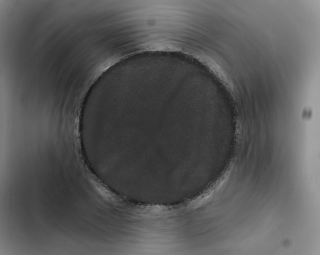 X0000102800881200809150926