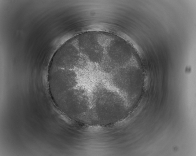 X0000102800882200809150926