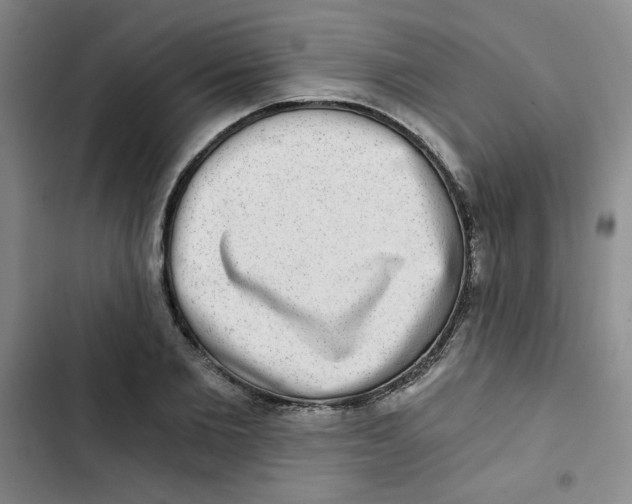 X0000102800885200809150926