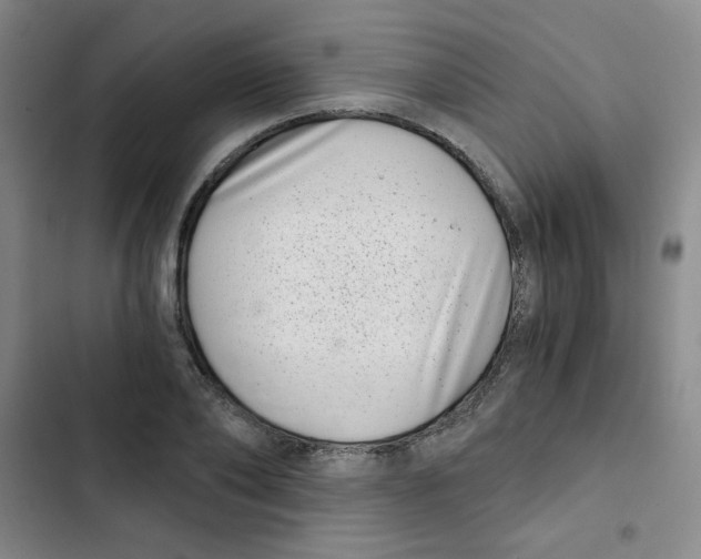 X0000102800886200809150926