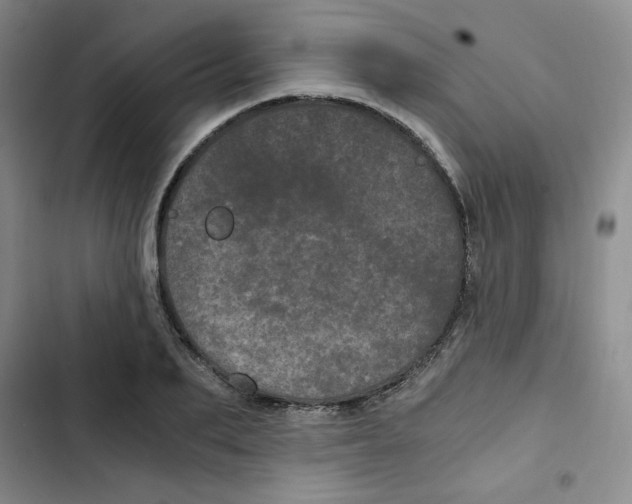 X0000102800887200809150926