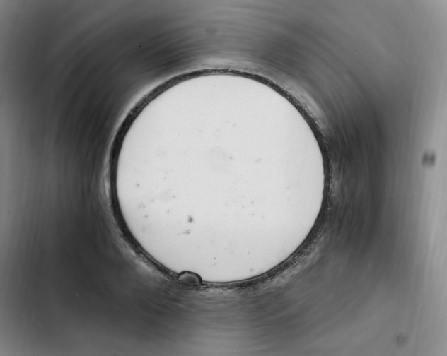 X0000102800888200809150926