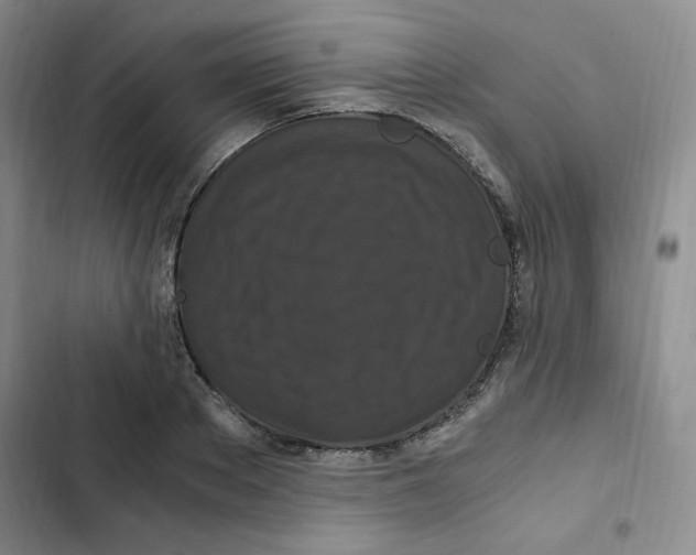 X0000102800889200809150926