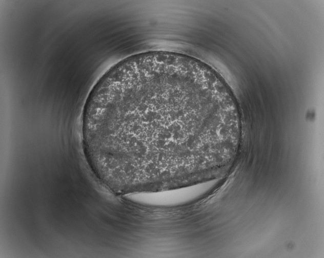 X0000102800891200809150926