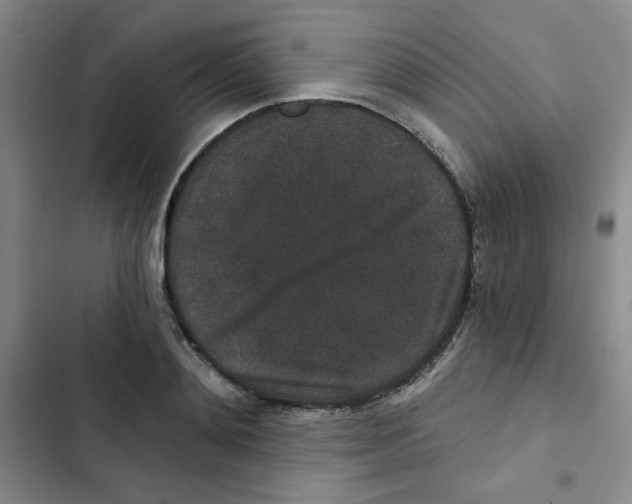 X0000102800892200809150926