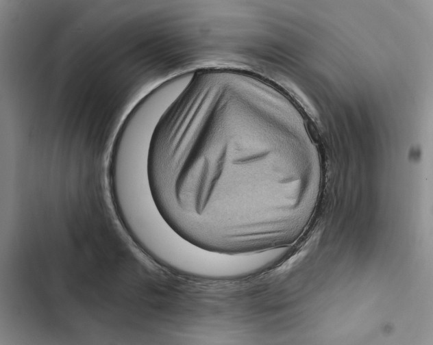 X0000102800893200809150926