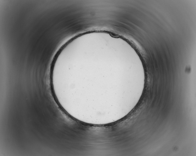 X0000102800894200809150926