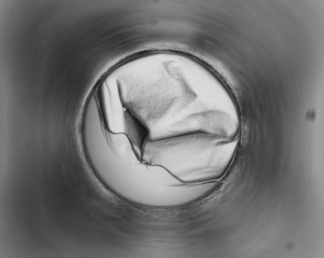 X0000102800895200809150926