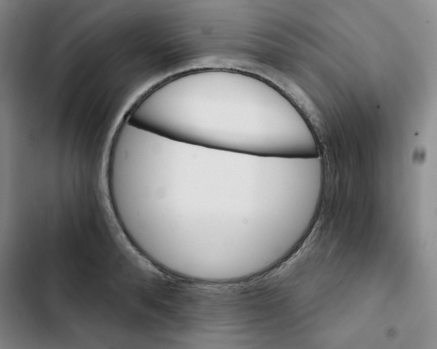 X0000102800896200809150926