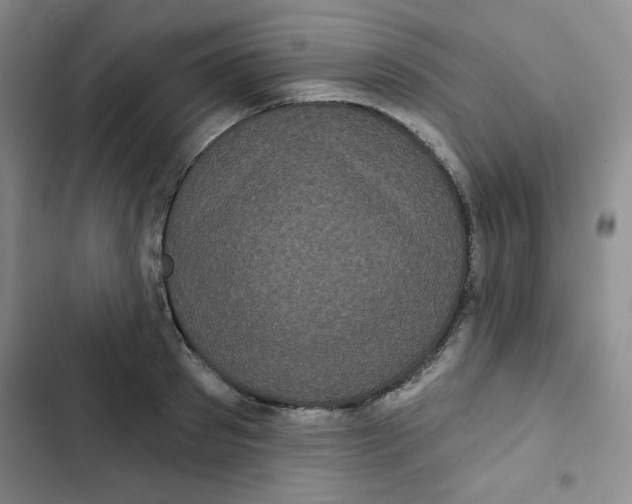 X0000102800897200809150926