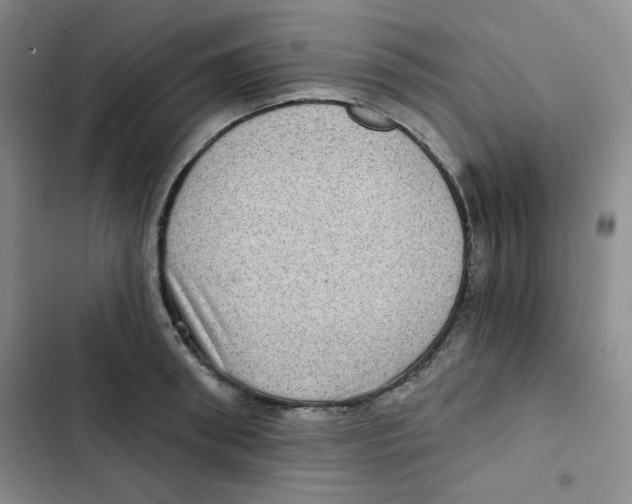 X0000102800898200809150926