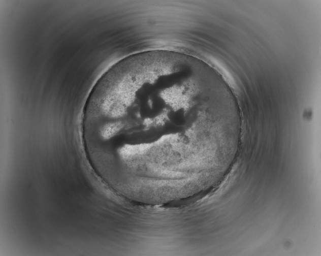 X0000102800899200809150926