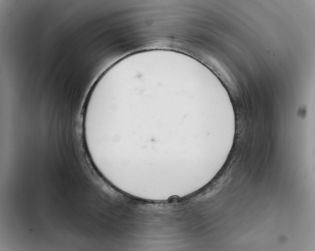 X0000102800900200809150926