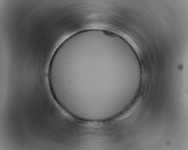 X0000102800901200809150926