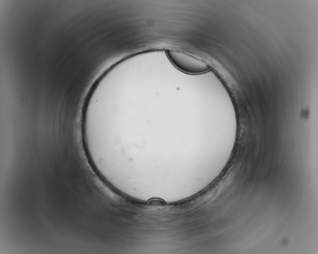 X0000102800902200809150926