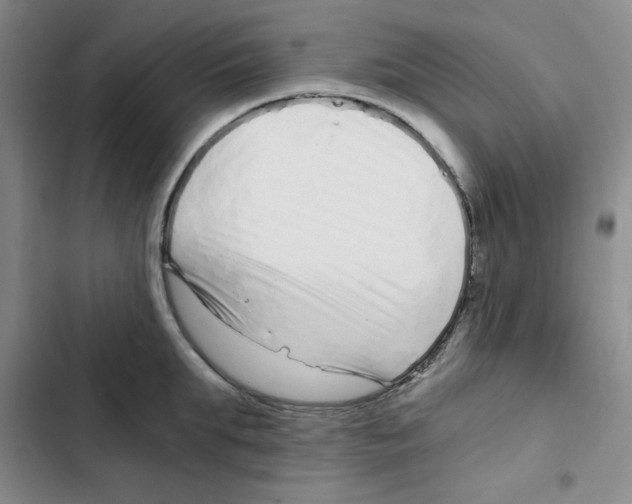 X0000102800903200809150926