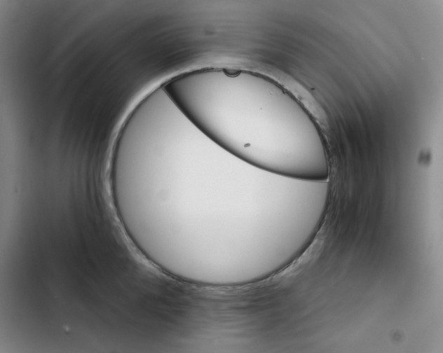 X0000102800904200809150926