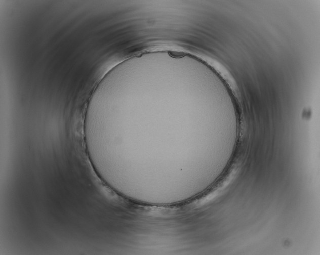 X0000102800905200809150926