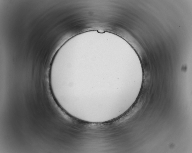 X0000102800906200809150926