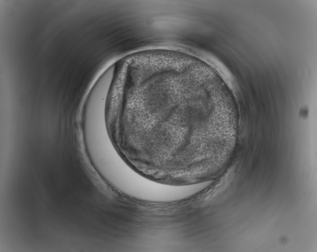 X0000102800907200809150926