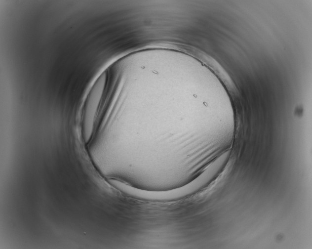 X0000102800908200809150926