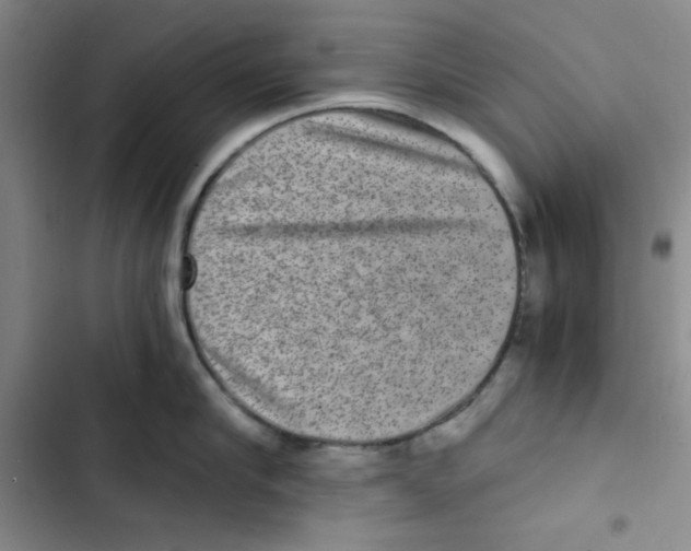 X0000102800910200809150926