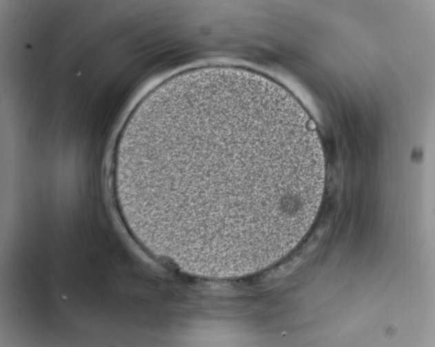 X0000102800911200809150926