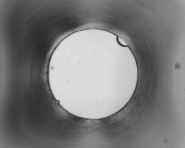 X0000102800912200809150926