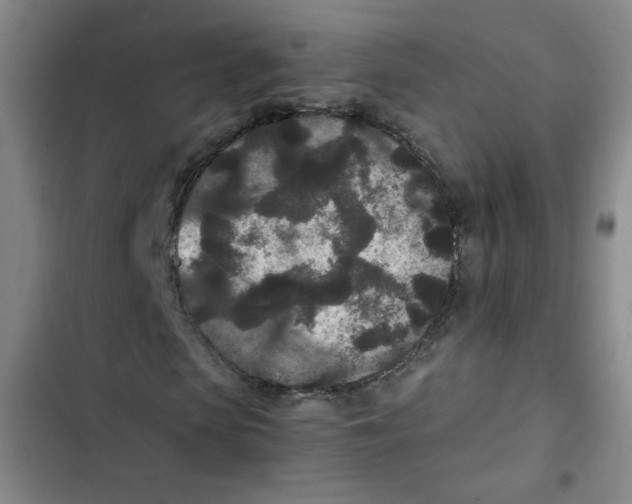 X0000102800913200809150925