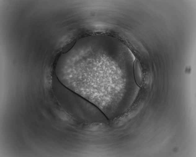 X0000102800916200809150925