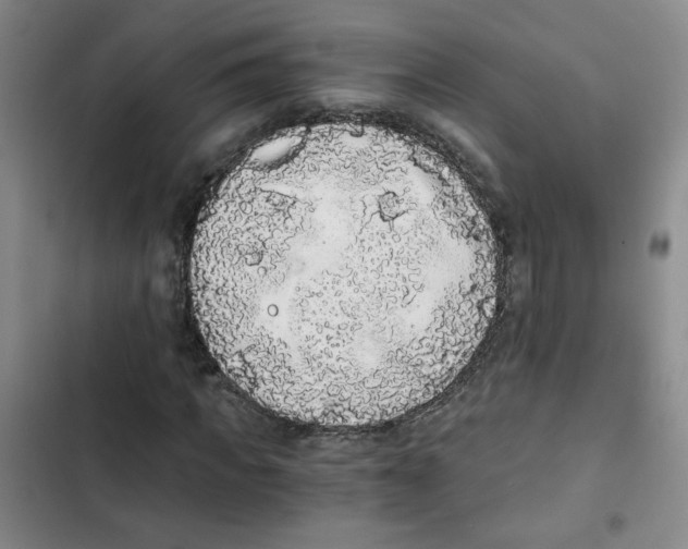 X0000102800917200809150925