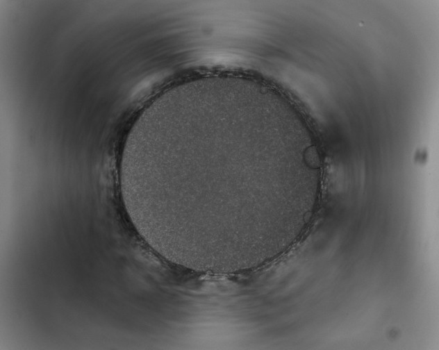 X0000102800918200809150925