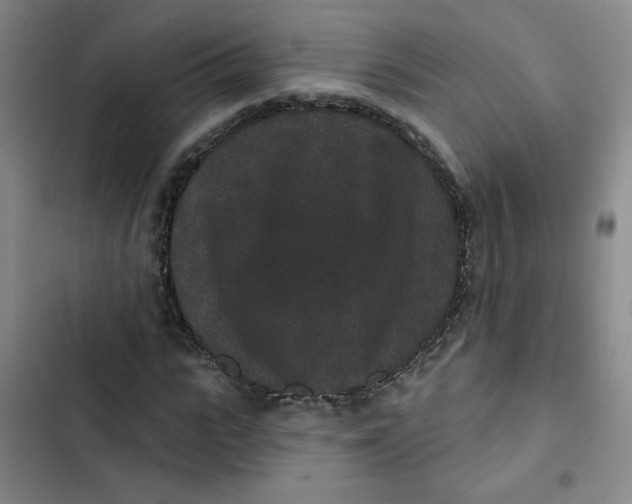 X0000102800919200809150925