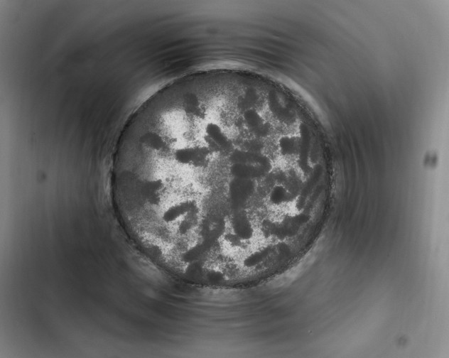 X0000102800921200809150925