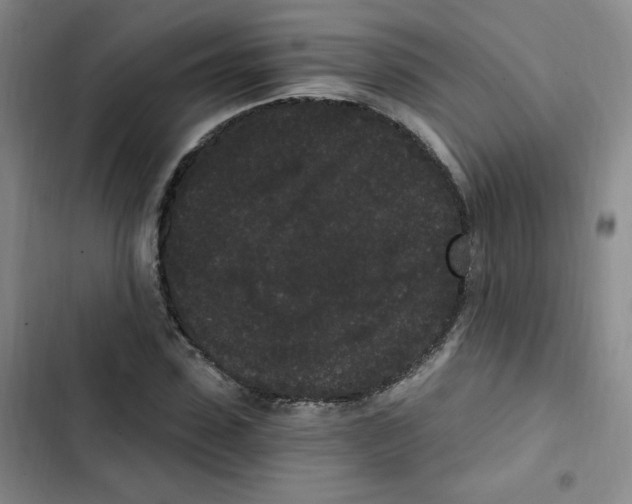 X0000102800923200809150925